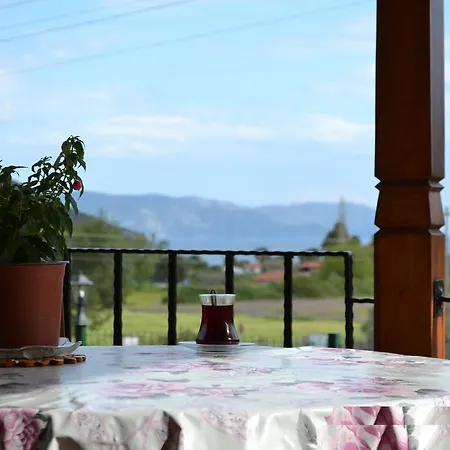 Διαμέρισμα Begonville *